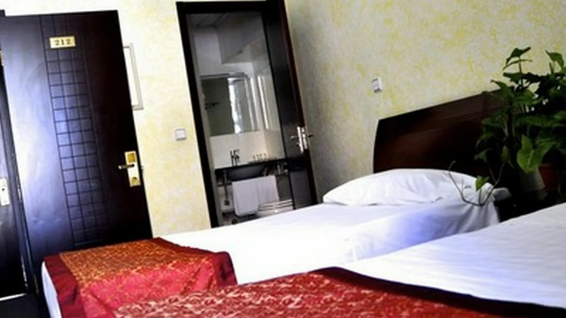 Leoni Di Giada Guesthouse - Close To Central Station Roma Alojamento de Acomodação e Pequeno-almoço